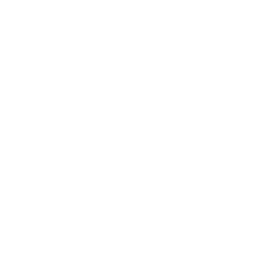 bisleri Logo
